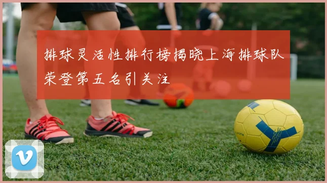 排球灵活性排行榜揭晓上海排球队荣登第五名引关注