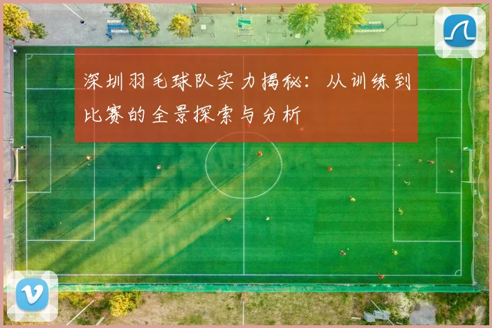 深圳羽毛球队实力揭秘：从训练到比赛的全景探索与分析