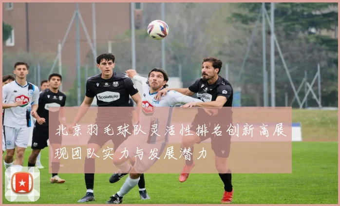 北京羽毛球队灵活性排名创新高展现团队实力与发展潜力