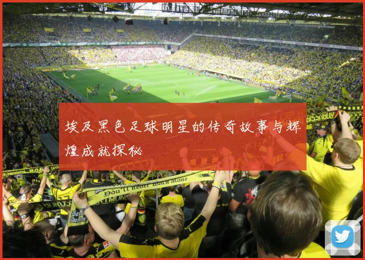 埃及黑色足球明星的传奇故事与辉煌成就探秘