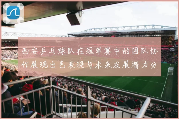 西安乒乓球队在冠军赛中的团队协作展现出色表现与未来发展潜力分析