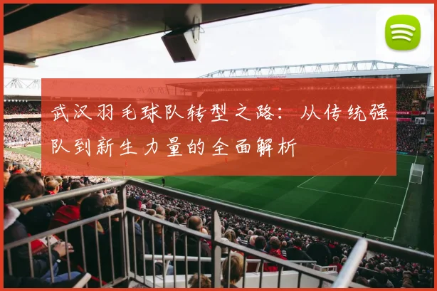 武汉羽毛球队转型之路：从传统强队到新生力量的全面解析