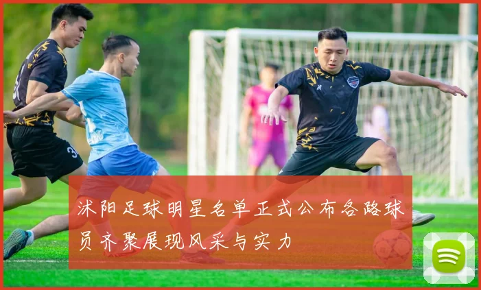 沭阳足球明星名单正式公布各路球员齐聚展现风采与实力