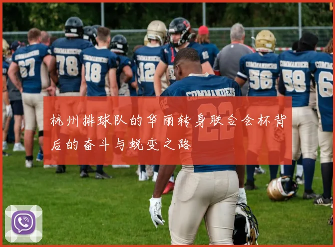 杭州排球队的华丽转身联合会杯背后的奋斗与蜕变之路