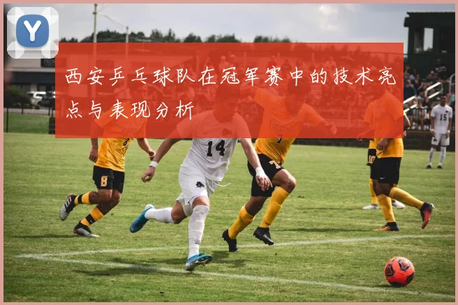 西安乒乓球队在冠军赛中的技术亮点与表现分析