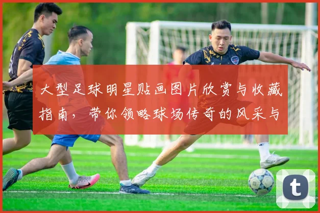 大型足球明星贴画图片欣赏与收藏指南，带你领略球场传奇的风采与魅力