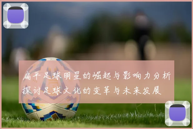 扁平足球明星的崛起与影响力分析探讨足球文化的变革与未来发展