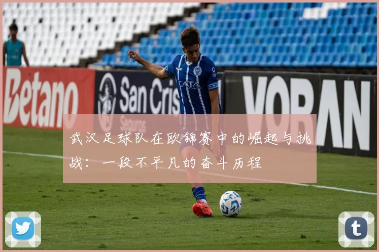 武汉足球队在欧锦赛中的崛起与挑战：一段不平凡的奋斗历程