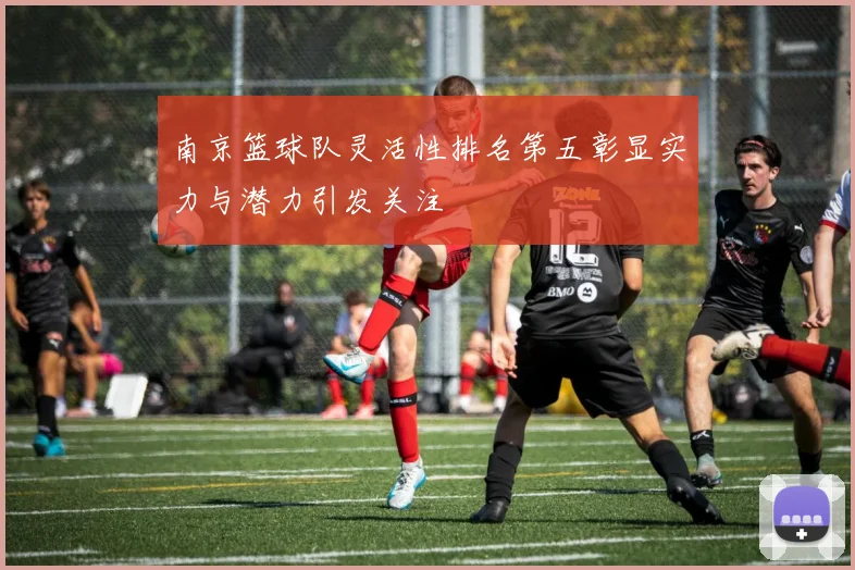 南京篮球队灵活性排名第五彰显实力与潜力引发关注