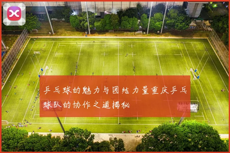 乒乓球的魅力与团结力量重庆乒乓球队的协作之道揭秘