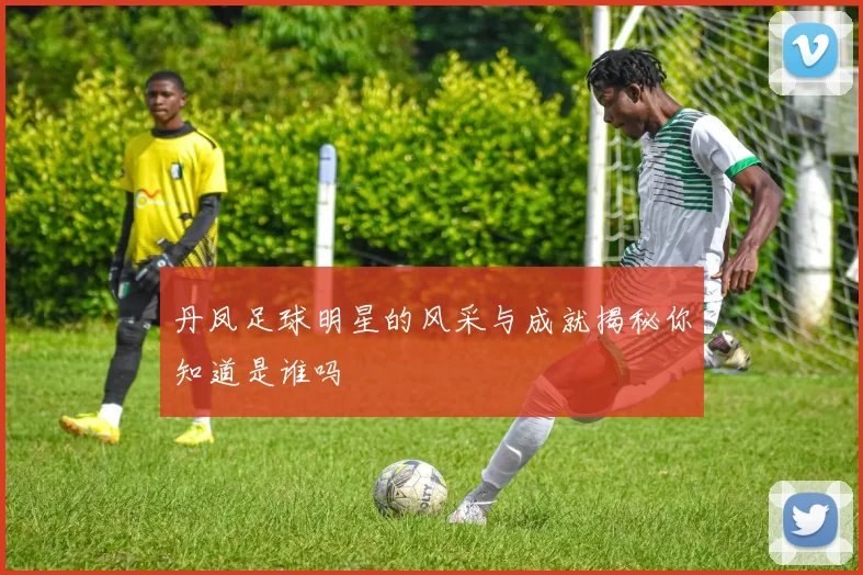 丹凤足球明星的风采与成就揭秘你知道是谁吗
